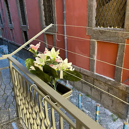 Appartement House Diva *