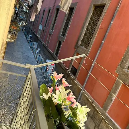 Apartment House Diva